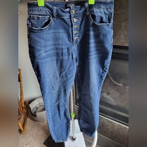 Judy Blue 16W Skinny Fit Jeans